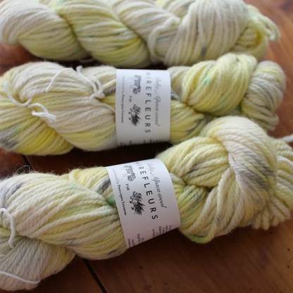 "Mirefleurs" - Bulky - Hand-dyed alpaca wool