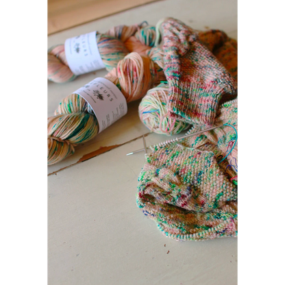 "Mirefleurs" - Fingering - Superwash Merino, hand-dyed