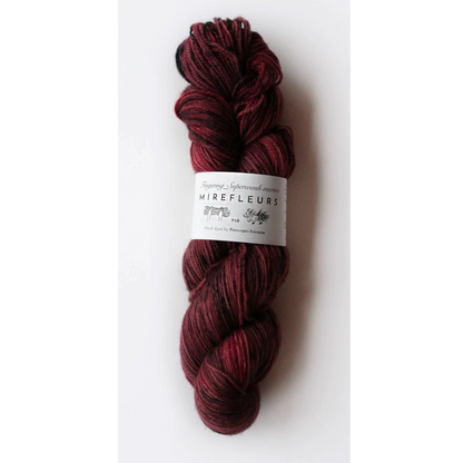 "Mirefleurs" - Fingering - Superwash Merino, hand-dyed