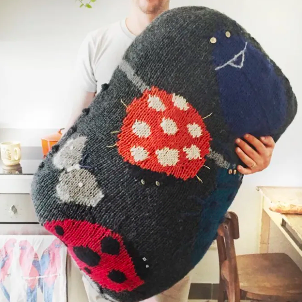 Coussin série "Pierre-insecte" 